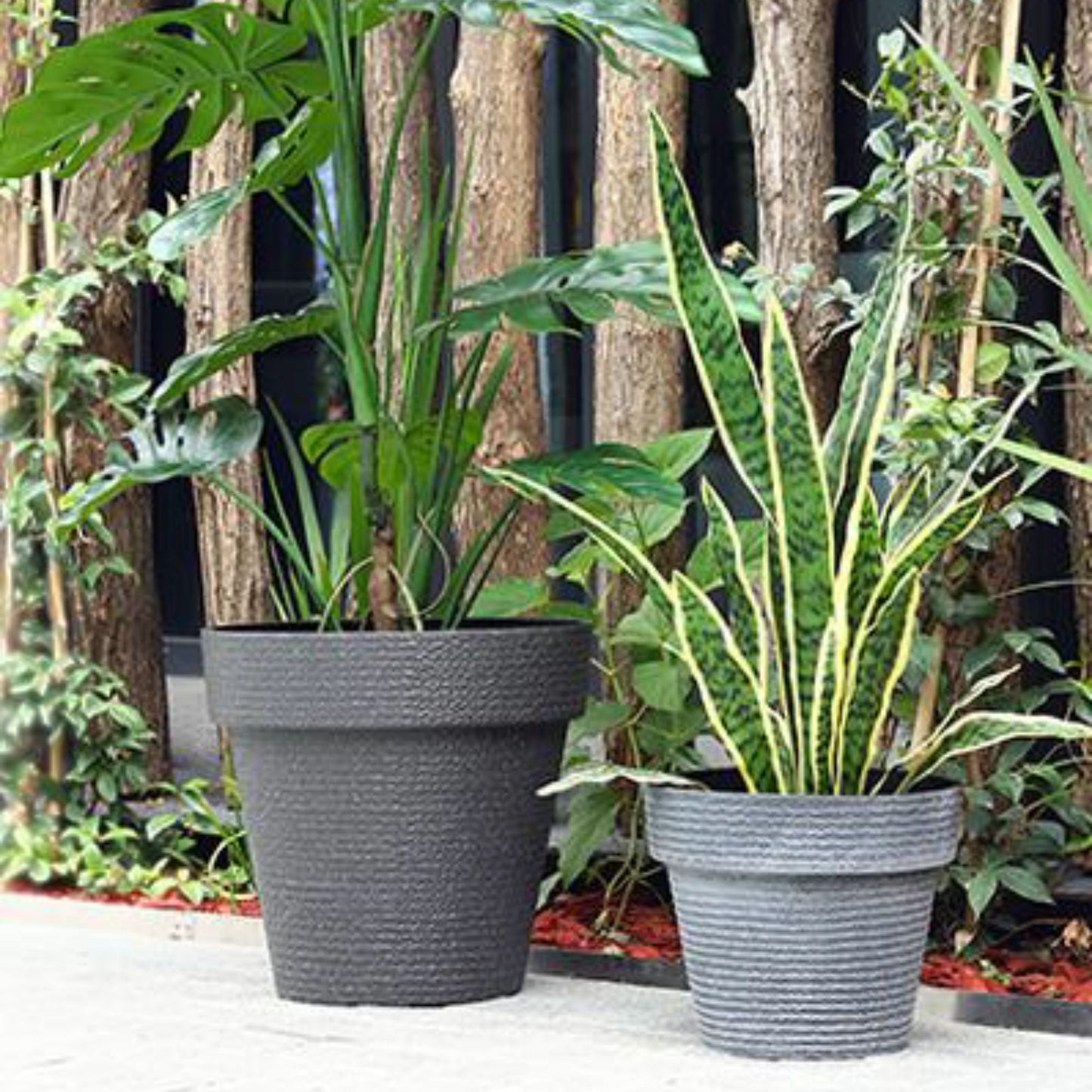 Macetero Emma 38 - Elsie Jardinería