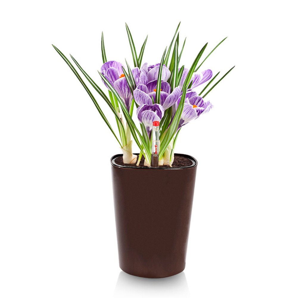 Macetero autorregante Delia 19 - Elsie Jardinería