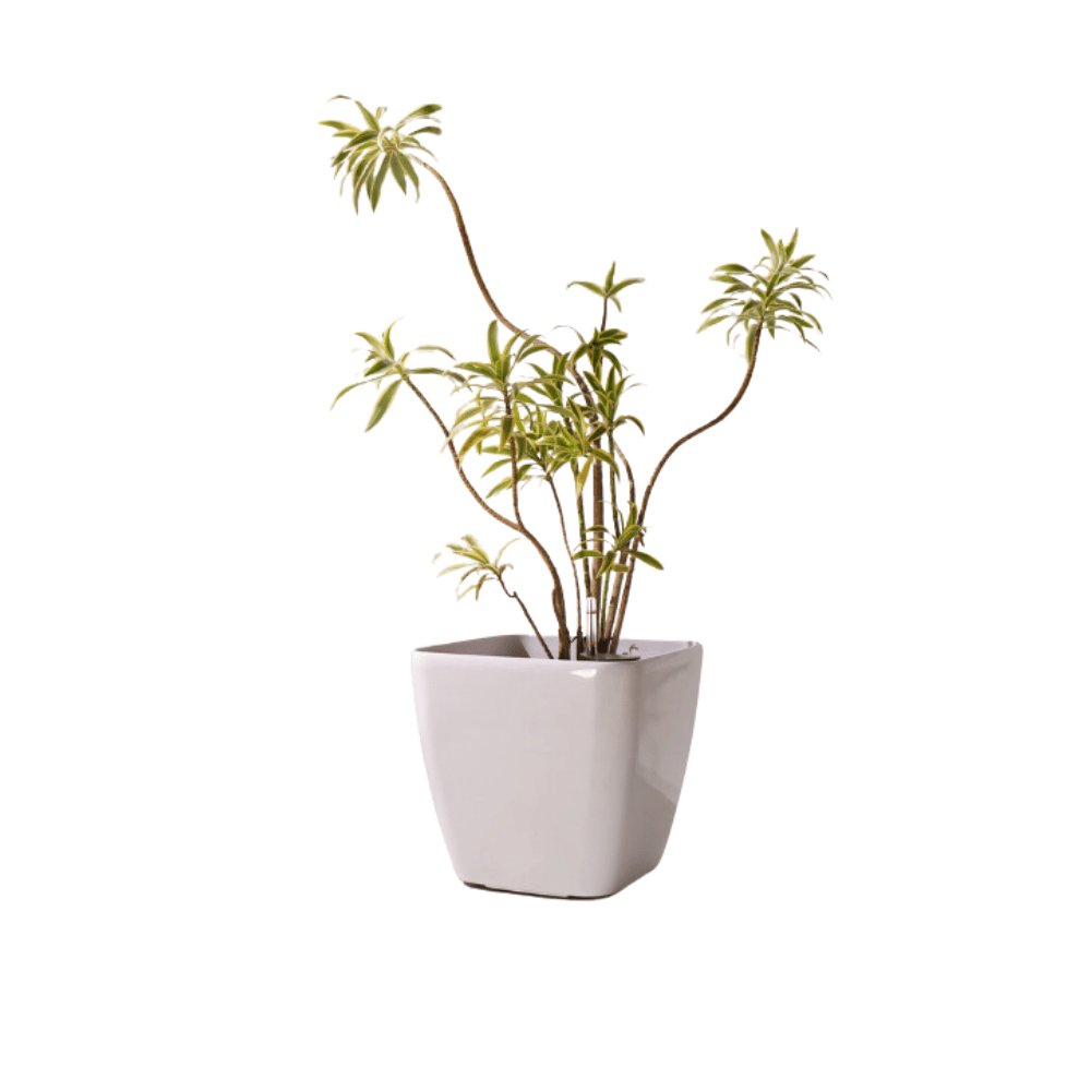 Macetero autorregante Ida 26 - Elsie Jardinería