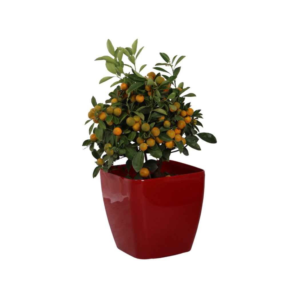 Macetero autorregante Ida 26 - Elsie Jardinería