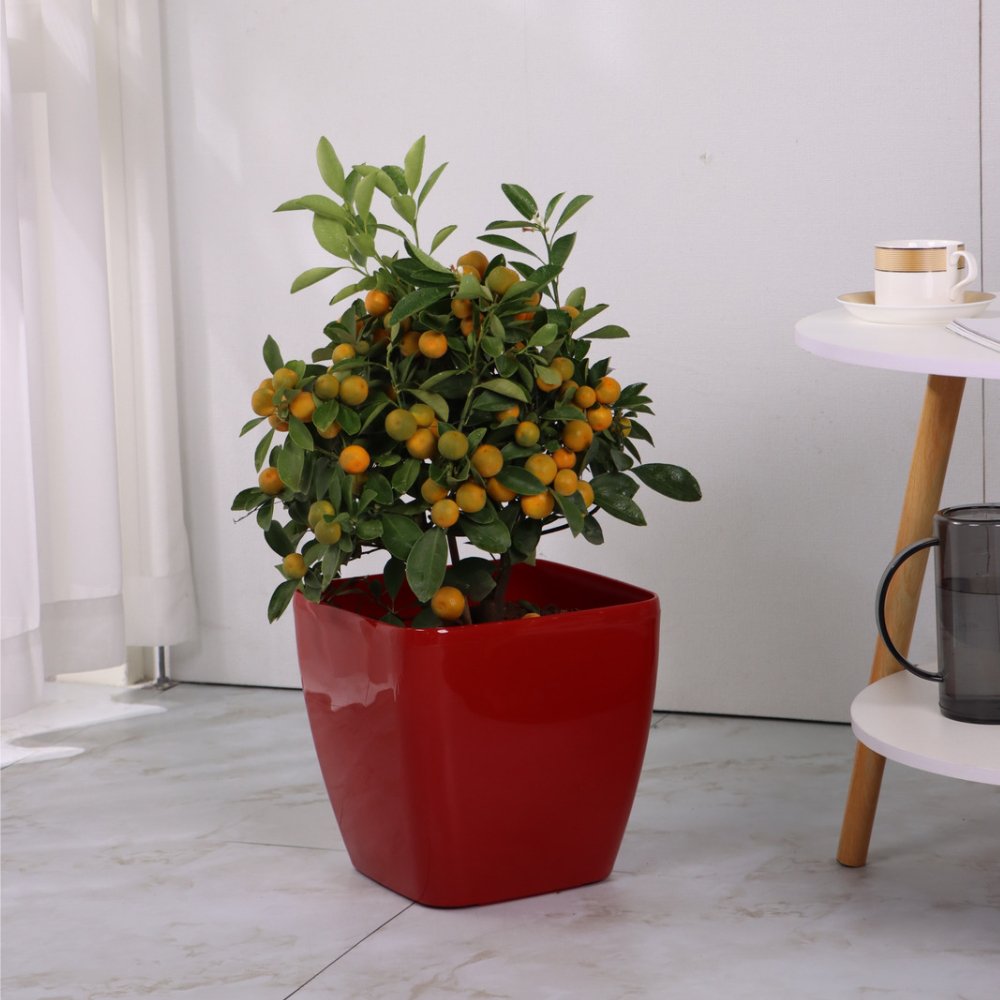 Macetero autorregante Ida 26 - Elsie Jardinería